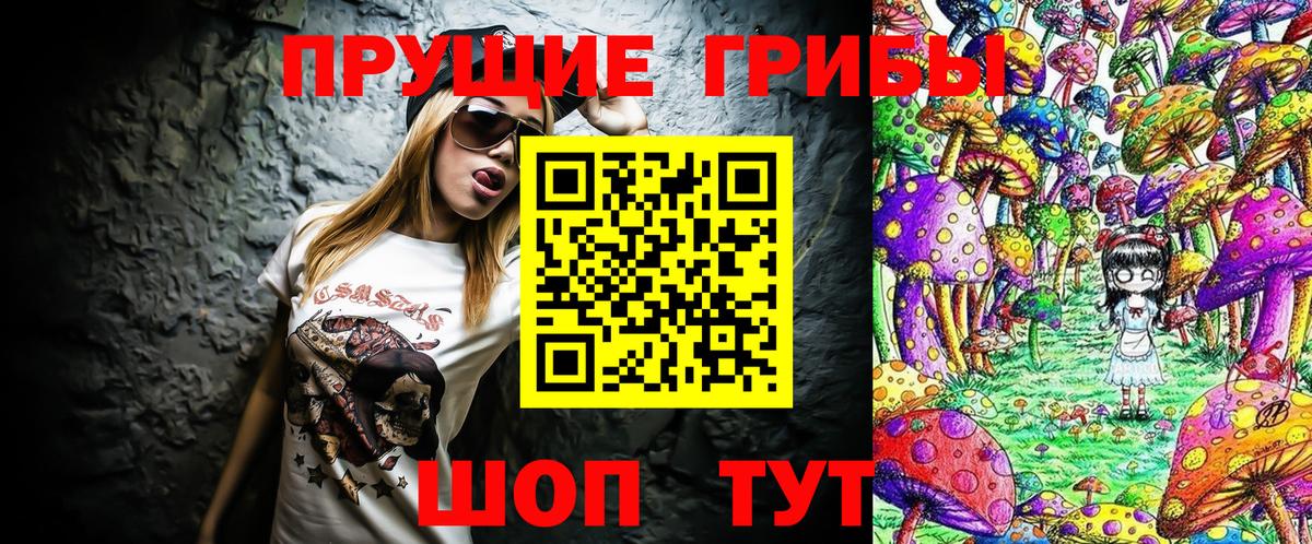 Скопин  Галлюциногенные грибы Cubensis  Вход с VPN 