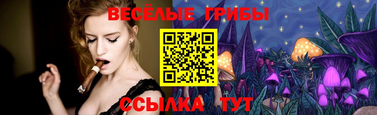 Галлюциногенные грибы Psilocybine cubensis Скопин